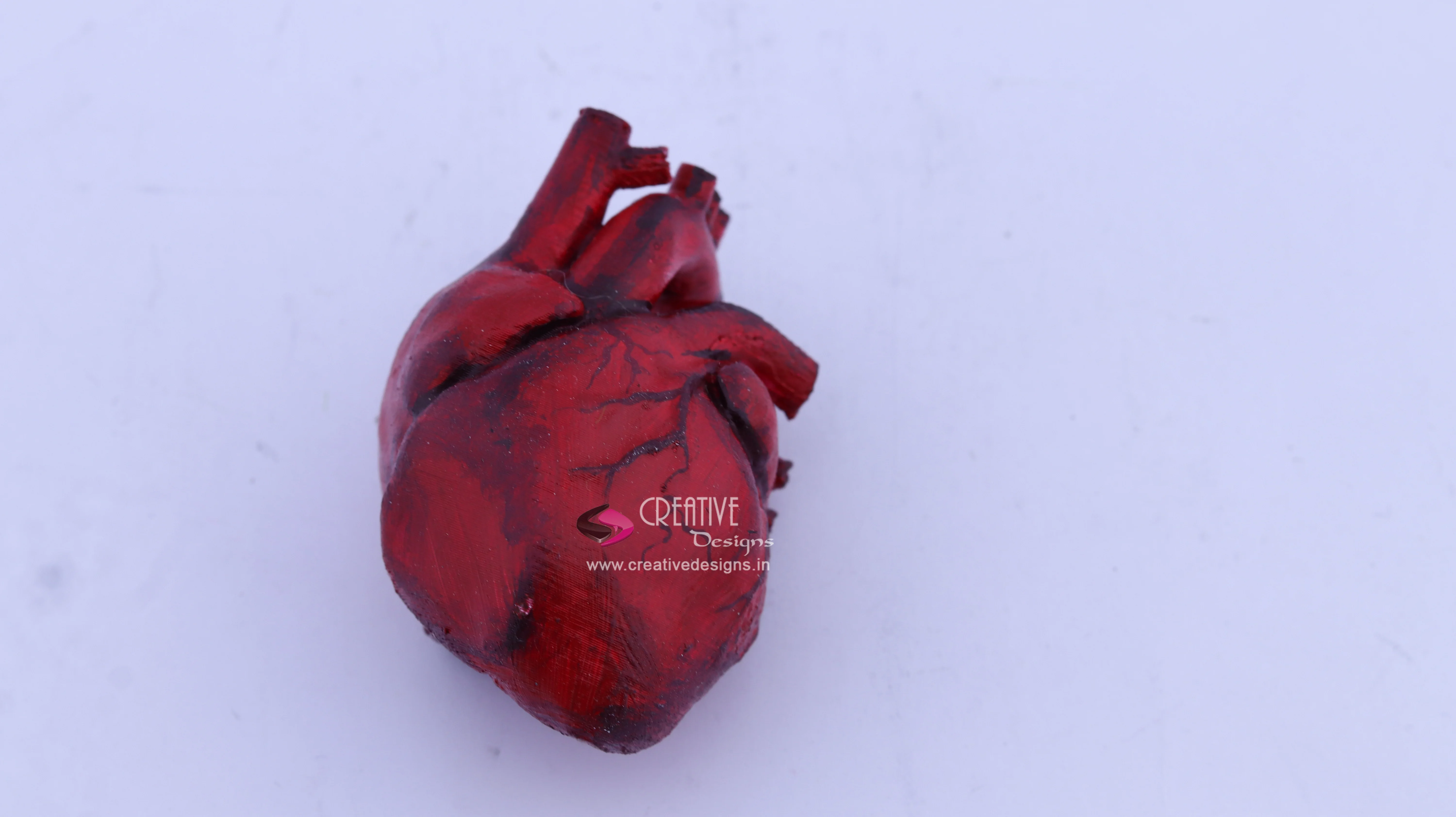 human-heart-3d-printed-anatomy-model-vizag